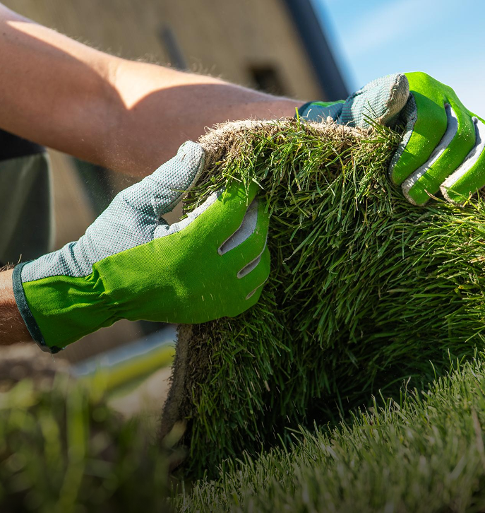 Professional Turf Installation and Maintenance Houston TX